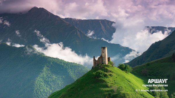 Тимур Агиров Горная Ингушетия