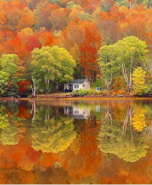 Красивая осень