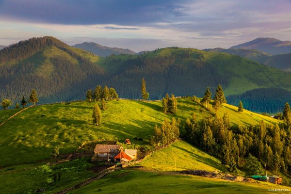 Буковина Румыния