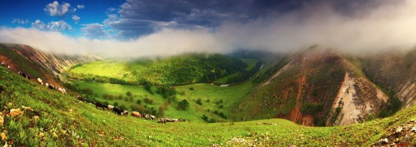 Природа Молдовы Молдавии