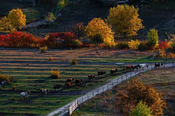 Молдавия Кишинев природа