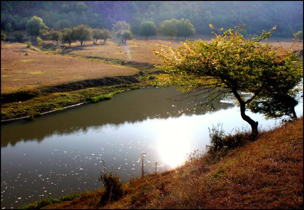 Молдова природа