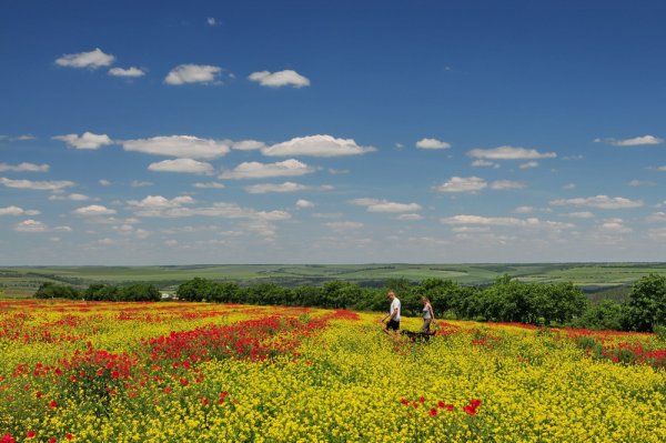 Степи Молдавии
