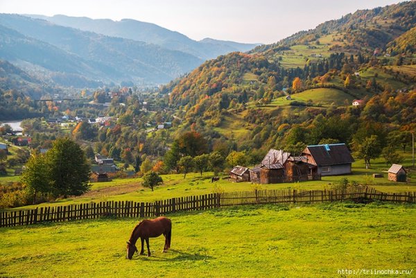 Просторы Молдавии