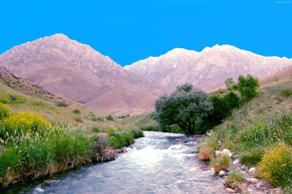 Иран природа Сахра