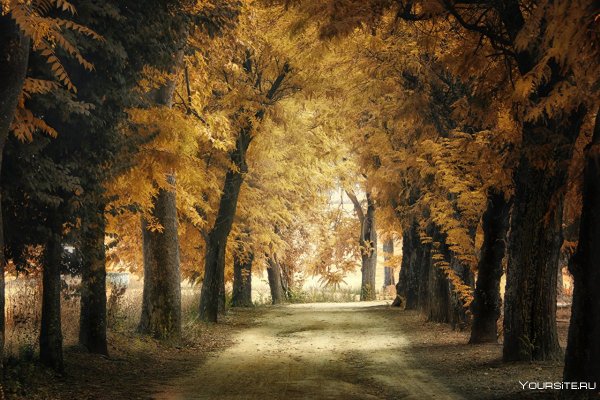 Осенний парк Брусилов Станислав Александрович