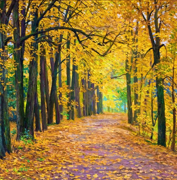 Аллея осенью