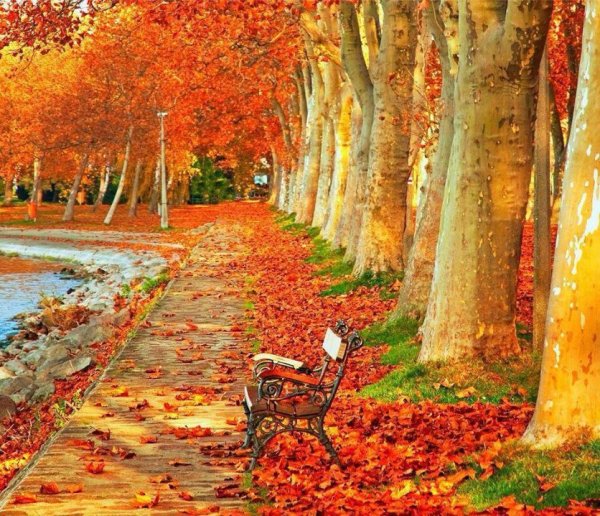 Осень художник Былич Александр Леонидович