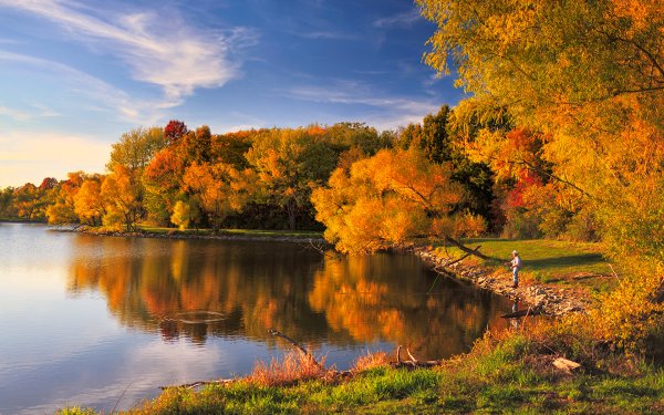 Золотая осень лес река