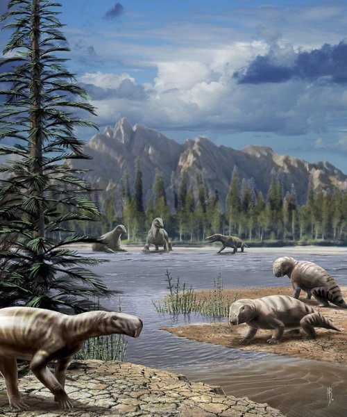 Палеоарт 2022