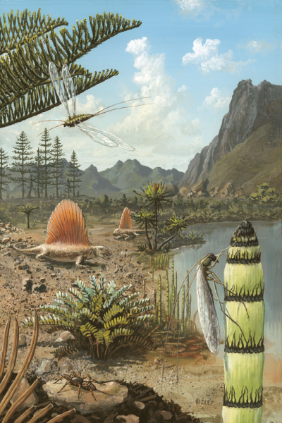 ЭРИОТЫ Пермский период