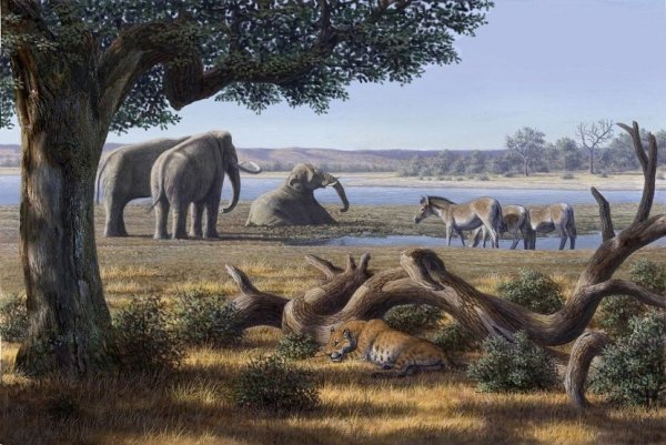 Палеоарт мегафауна