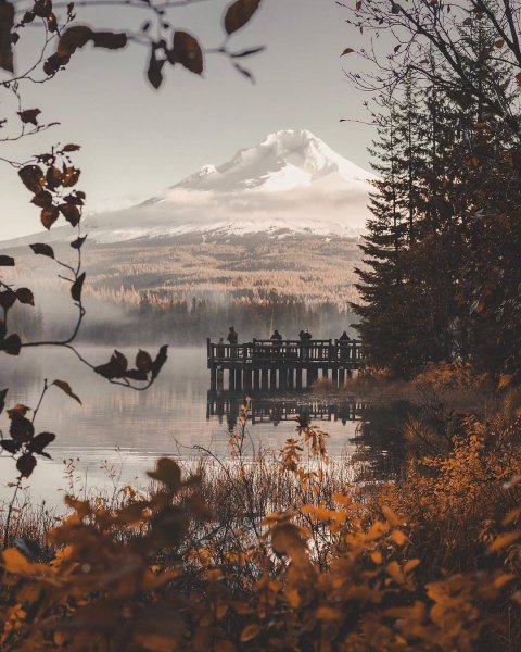 Осень Эстетика