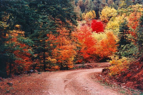 Природа осенью