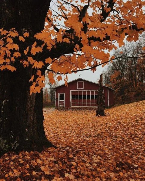 Эстетичная осень