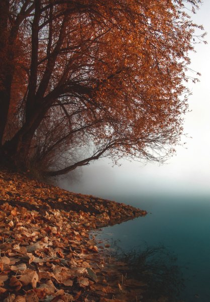 Осень Эстетика природа