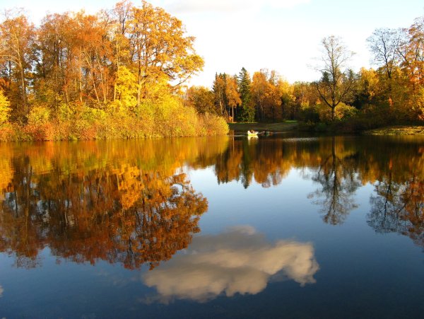 Багрец и золото