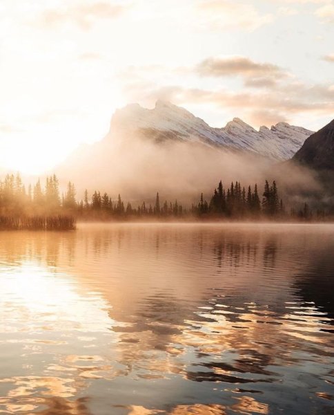 Нейтральный пейзаж