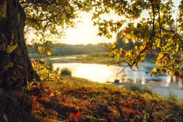 Осень вечер природа