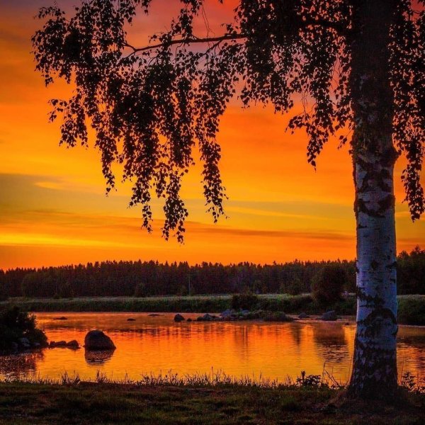 Есенин тихо струится река серебристая