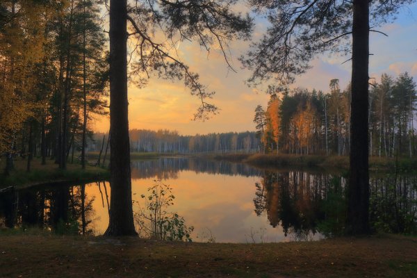 Дмитрий Алексеев фотохудожник