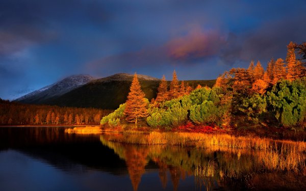 Осенний вечер