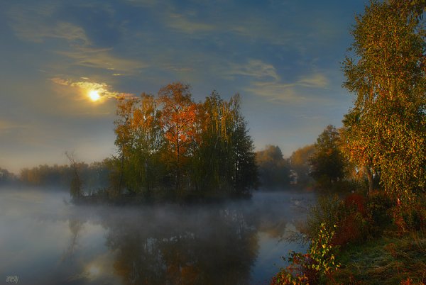 Месяц над прудом