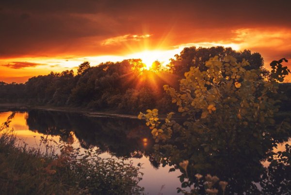 Летний рассвет