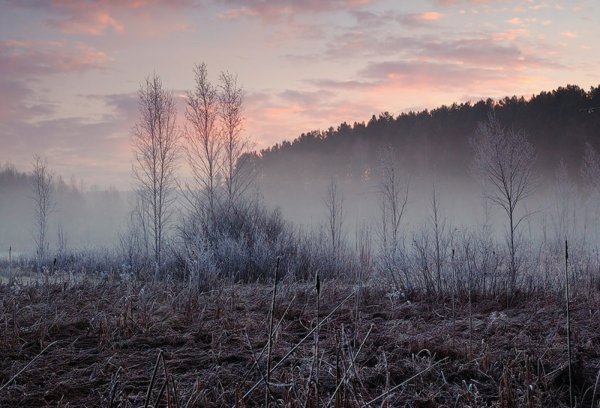 Ноябрь туман