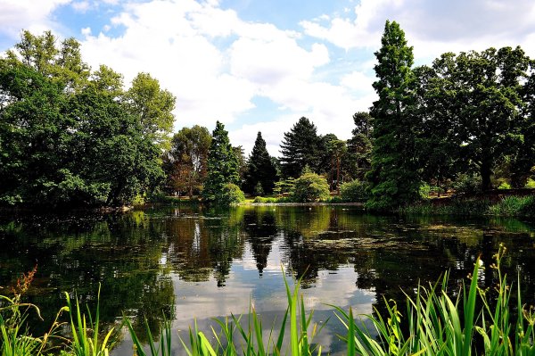 Озера реки пруды водоемы