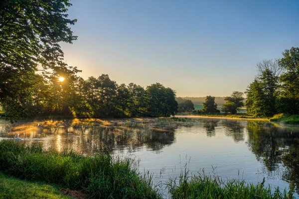 Природа река пруд