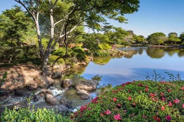 Река природа и цветы