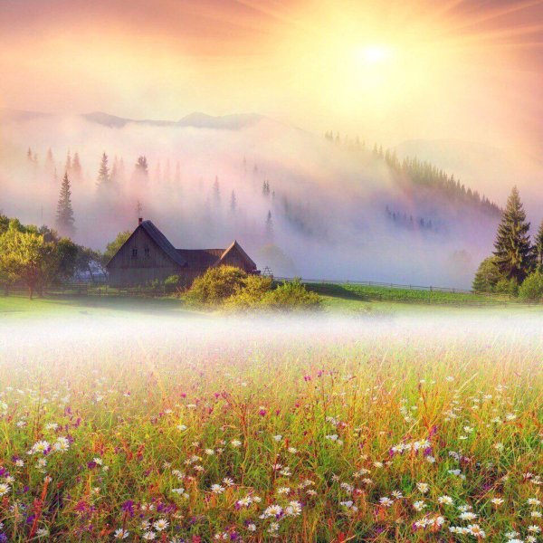 Красивые утренние пейзажи