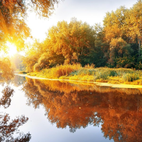 Осенний пейзаж у реки