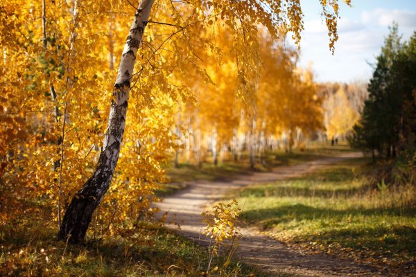 Солнечный осенний день