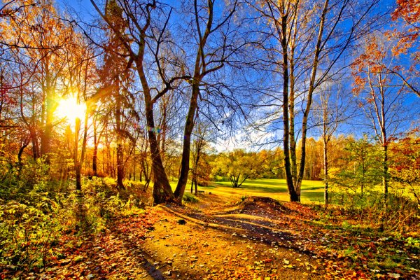 Осень октябрь