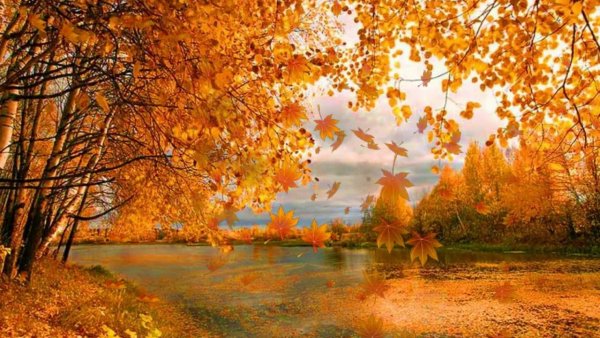 Осенний листопад