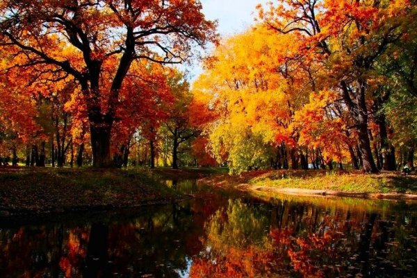 Красивая Золотая осень в Самаре