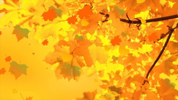 Осенний фон с падающими листьями