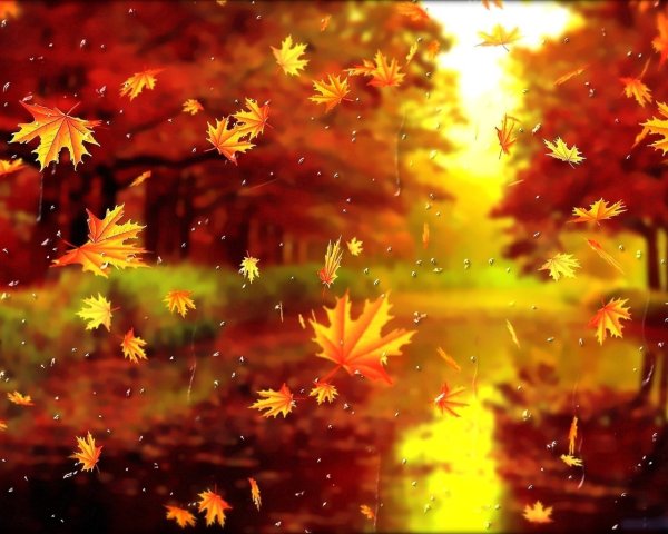 Лес ранней осенью