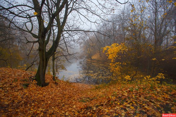 Поздняя осень пейзаж