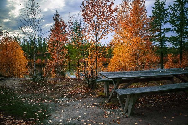 Поздний осенний пейзаж