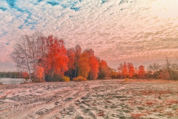 Солнечная поздняя осень