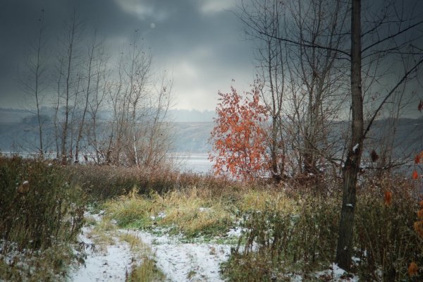 Картина поздней осени ноябрь