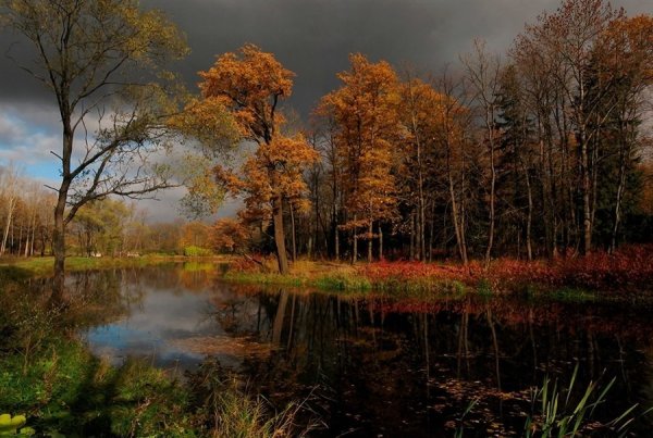 Поздний осенний пейзаж