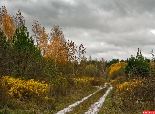 Поздняя хмурая осень