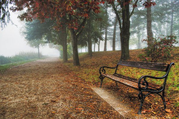 Пейзаж со скамейкой