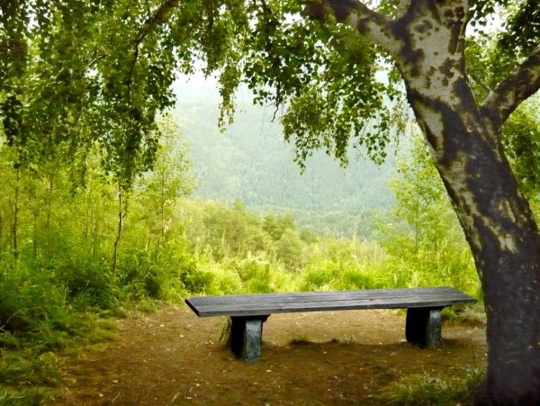 Река берёзка лавочка