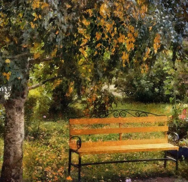 Скамейка под березой