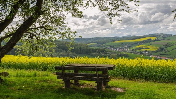 Деревенский пейзаж